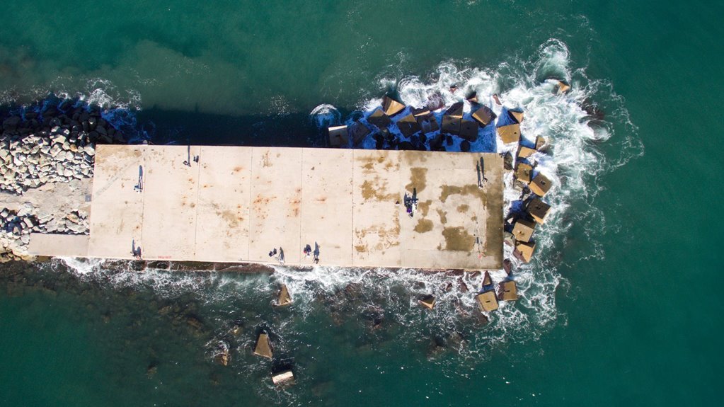 hentai platform features overview